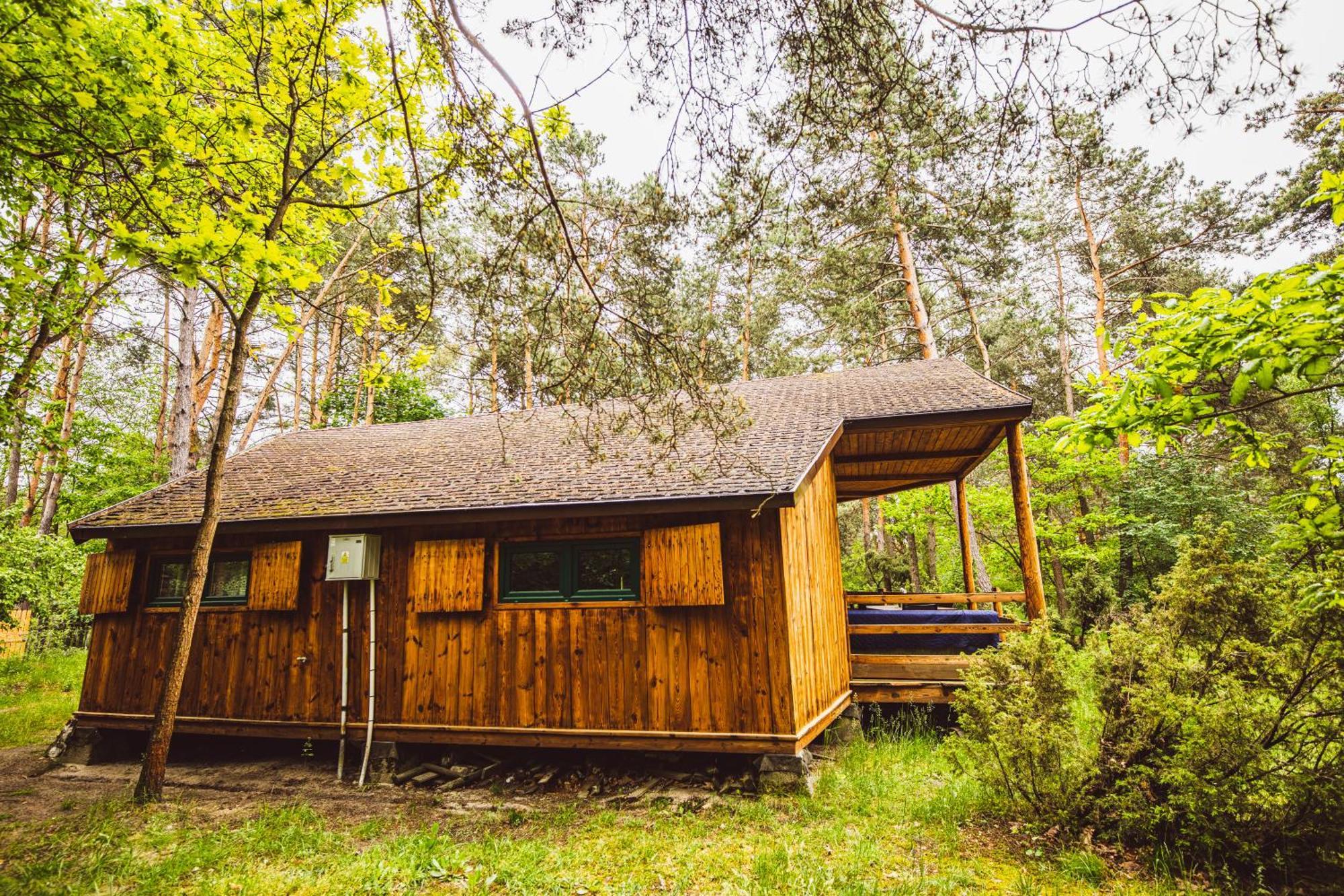 Cozy Nature Retreat With Patio Fireplace Garden Maciejowice Exteriér fotografie