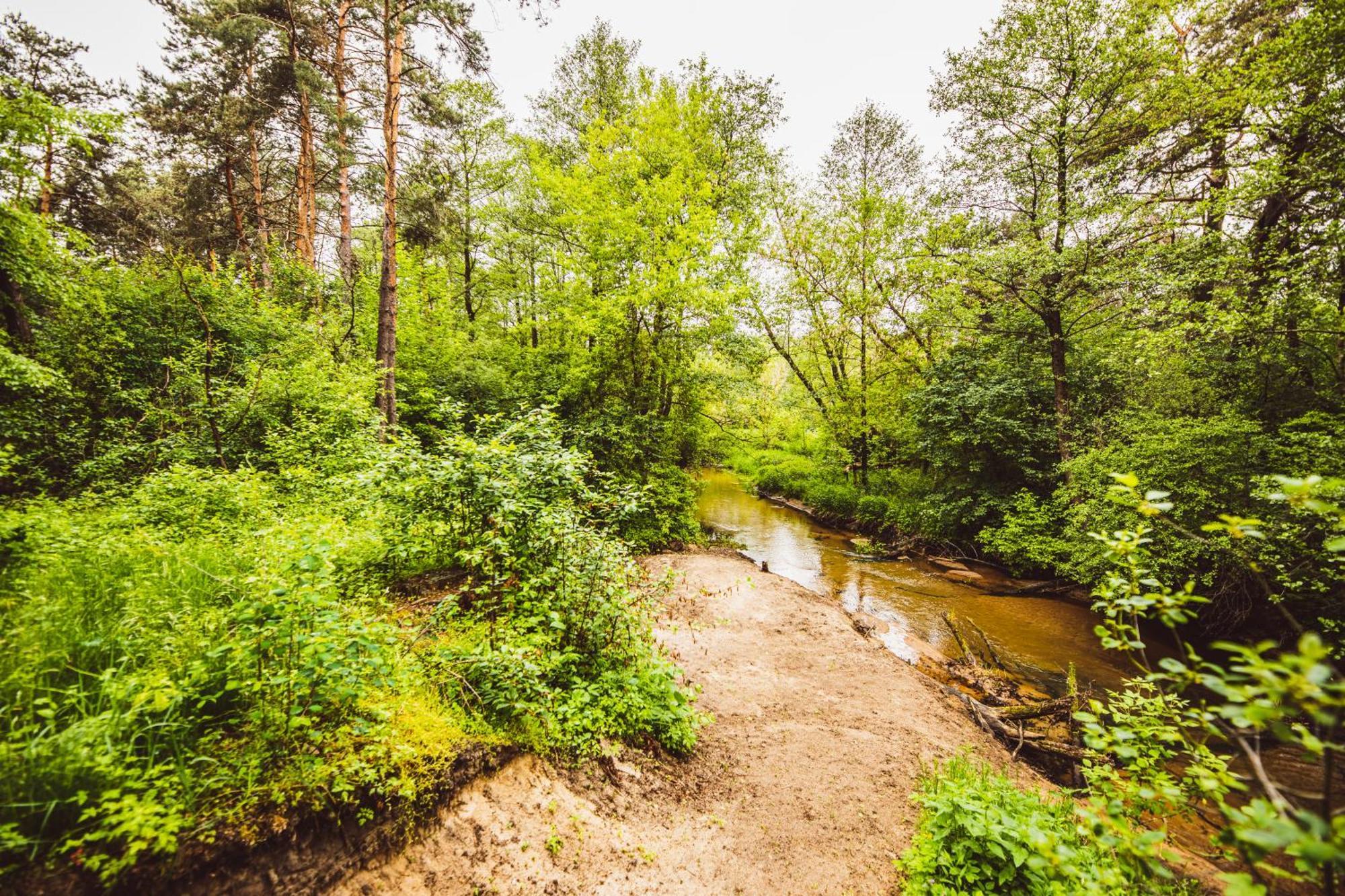 Cozy Nature Retreat With Patio Fireplace Garden Maciejowice Exteriér fotografie