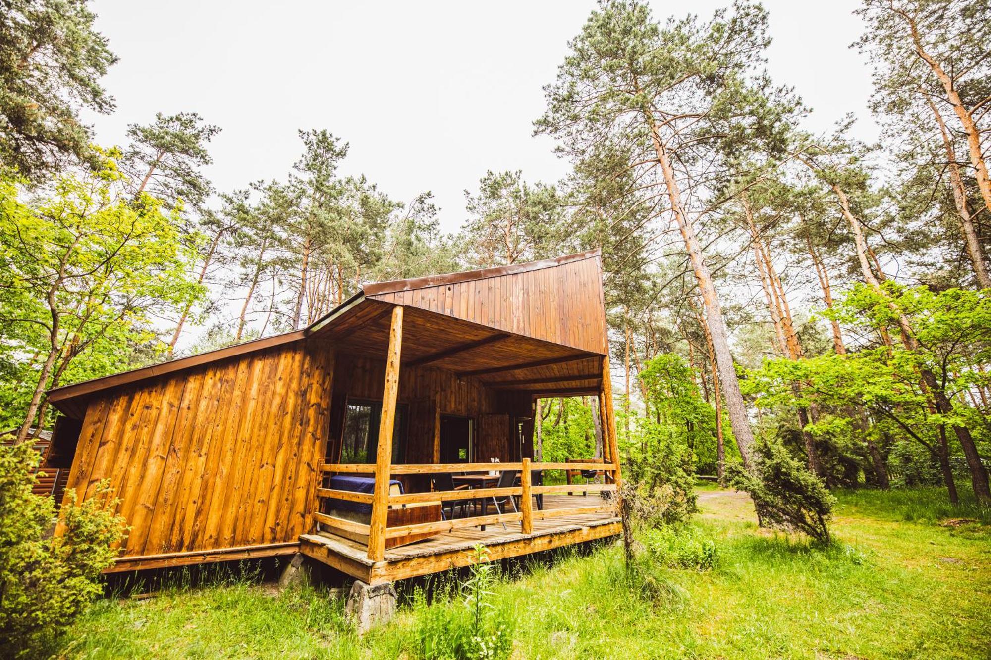 Cozy Nature Retreat With Patio Fireplace Garden Maciejowice Exteriér fotografie