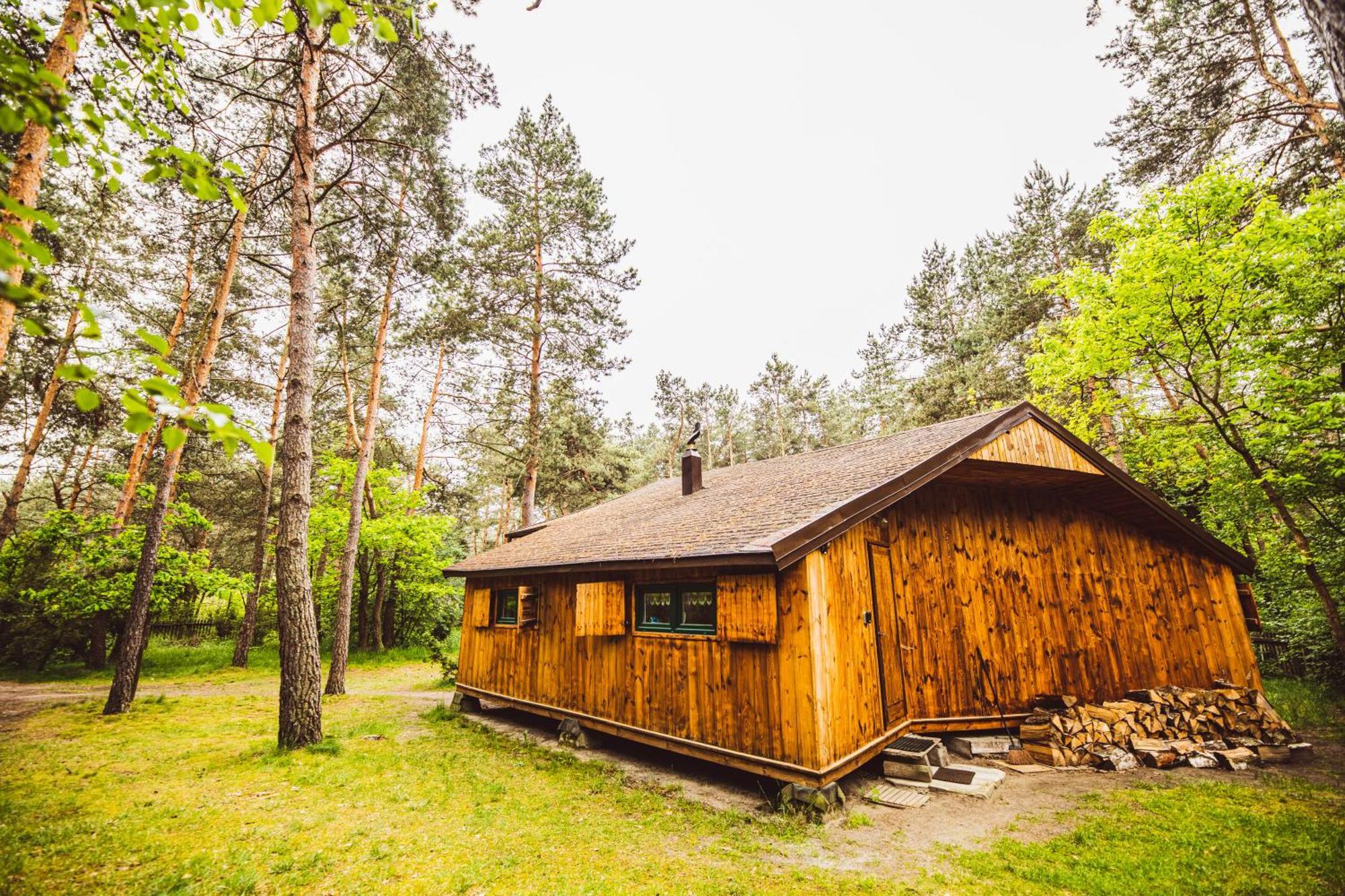 Cozy Nature Retreat With Patio Fireplace Garden Maciejowice Exteriér fotografie