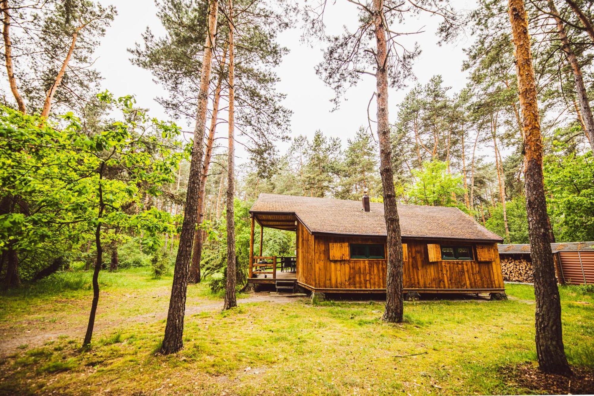 Cozy Nature Retreat With Patio Fireplace Garden Maciejowice Exteriér fotografie