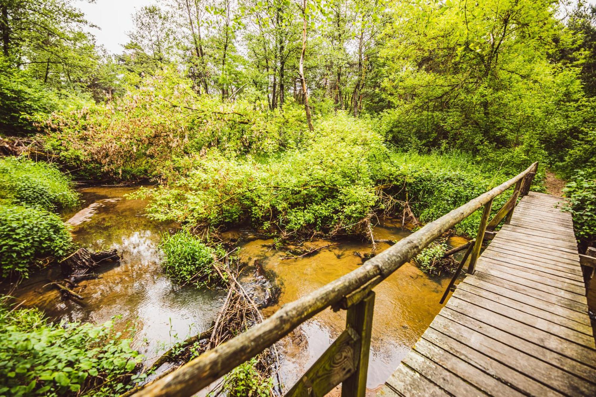 Cozy Nature Retreat With Patio Fireplace Garden Maciejowice Exteriér fotografie
