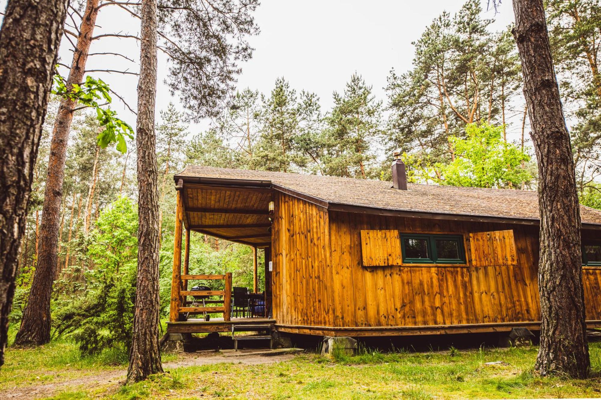 Cozy Nature Retreat With Patio Fireplace Garden Maciejowice Exteriér fotografie